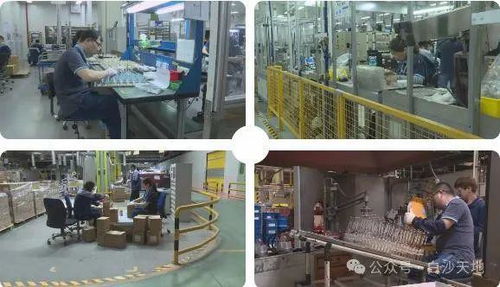 厉害了！仪征这家工厂，产品覆盖30多个国家和地区
